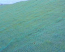 白山市三维网垫 绿化护坡植被网 供应商
