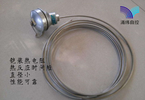 铠装式热电阻 WZPK  pt100/Cu50系列  法兰螺纹热电阻