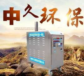 郑州中久蒸汽洗车机 燃气式ZJR20-5高温高压洗车设备
